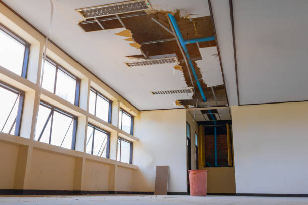 Best Residential water damage restoration  in Tipp City, OH