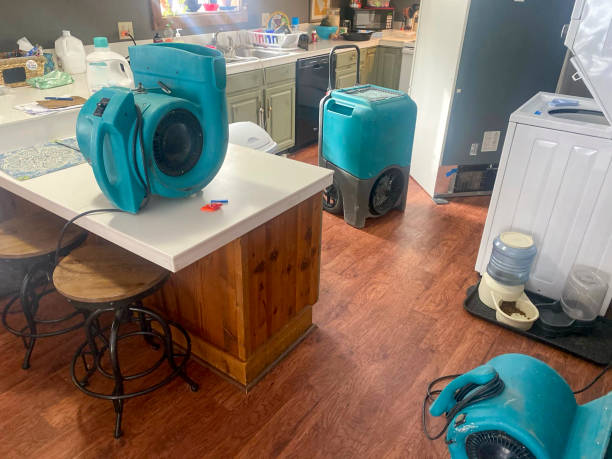 Trusted Tipp City, OH Water damage restoration Experts