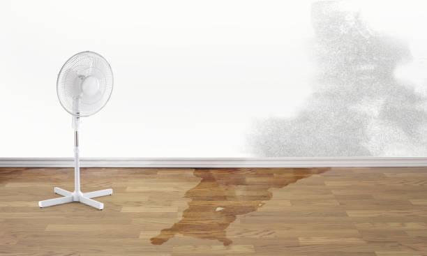 Sewage cleanup and water damage restoration in Tipp City, OH