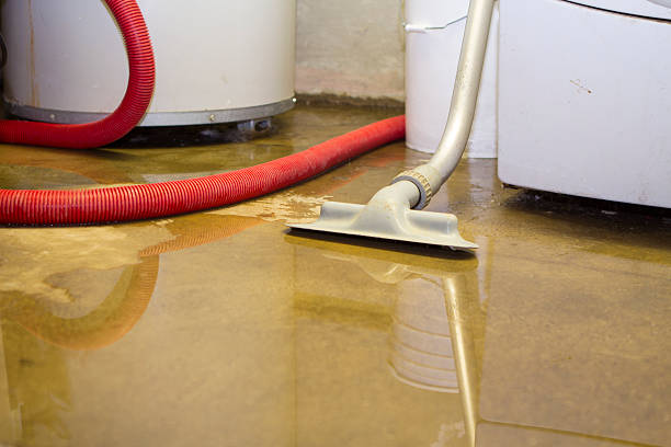 Best Ceiling water damage repair  in Tipp City, OH