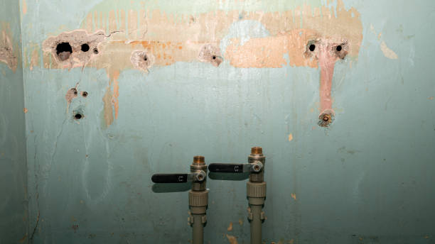 Trusted Tipp City, OH Water damage restoration Experts
