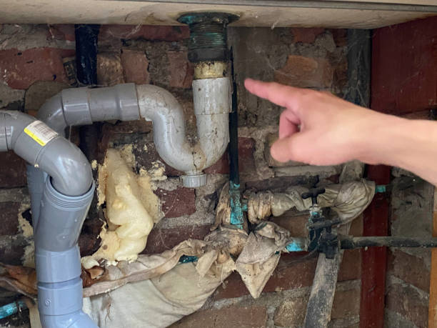 Best Water damage restoration process  in Tipp City, OH
