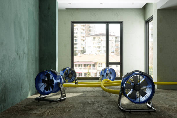 Best 24-hour water damage restoration  in Tipp City, OH